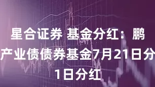 星合证券 基金分红:鹏华产业债债券基金7月21日分红