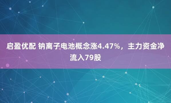 启盈优配 钠离子电池概念涨4.47%，主力资金净流入79股