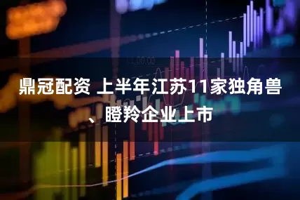 鼎冠配资 上半年江苏11家独角兽、瞪羚企业上市